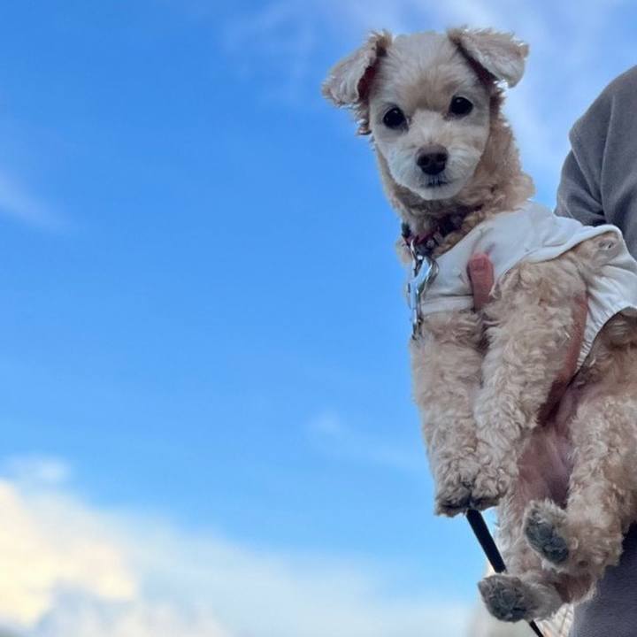 E023e4cb 426b 417b 98f1 0da60e7bf67a 1699861925599