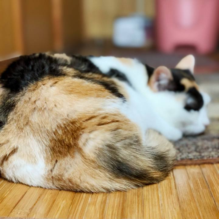 E02470fb 6bce 4fce aef7 7513cca701b9 1596417744601