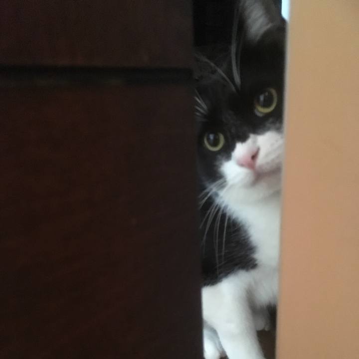 E024a707 d121 408d b619 064112b4e531 1542856222683