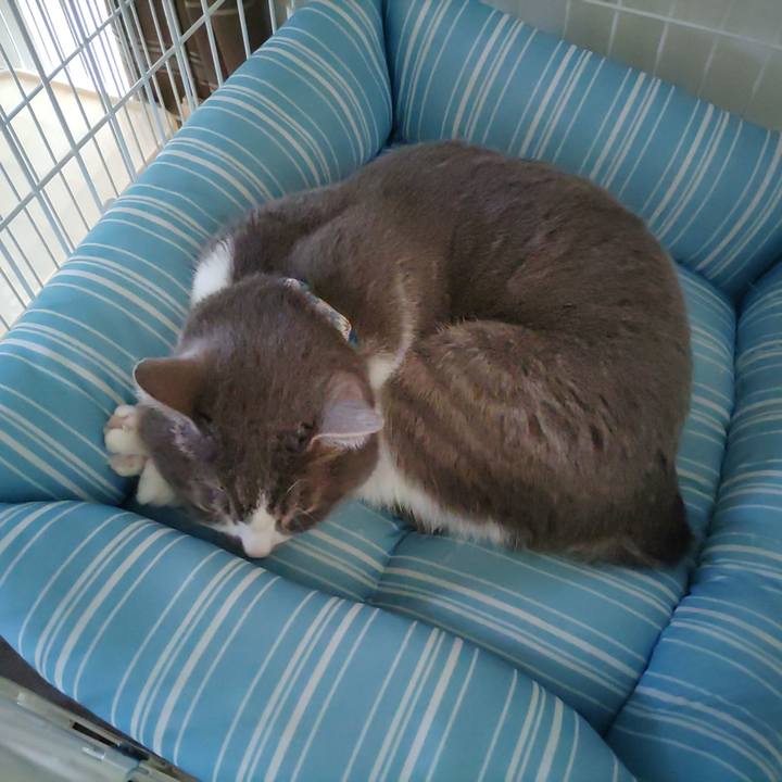 E024ab2b 61c3 4773 a300 8cb537e34744 1681874281078