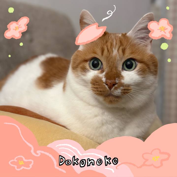 E024db76 1b33 4ef1 9713 3bf5b6ad9ddc 1775531926003