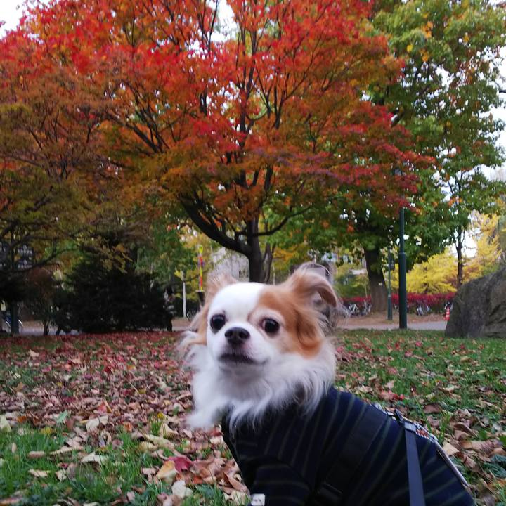 E024f401 fd1c 4f3e 841d 43d9d72b2a9d 1508570766771