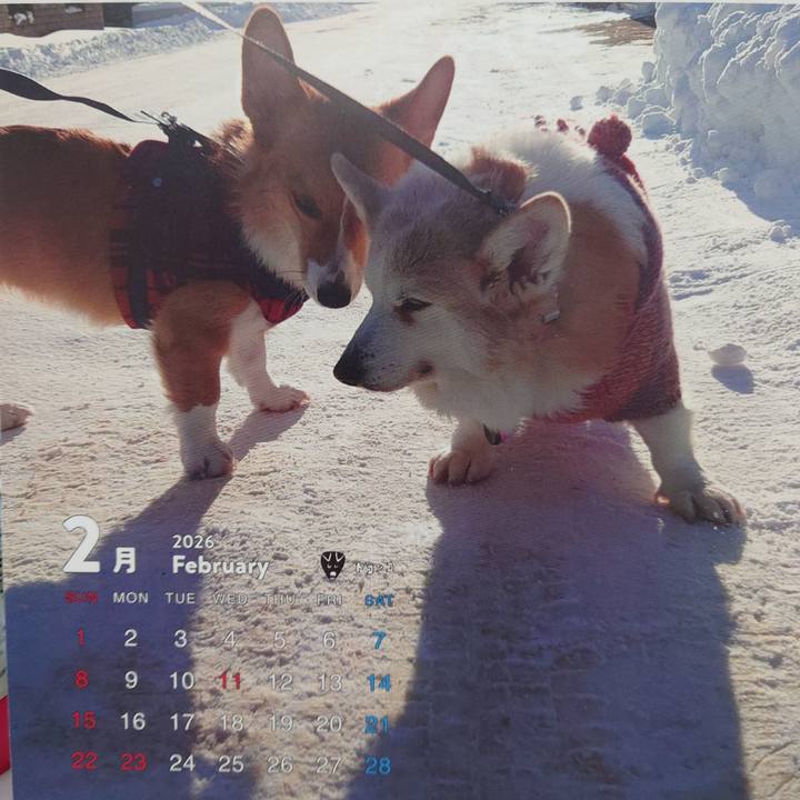 E02503ae 2337 41a2 bf70 637fb4681284 1769992447487