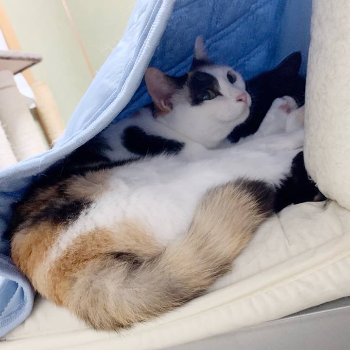 E0253c70 8672 4b22 86cf fb2b2c8e74b8 1538707844877