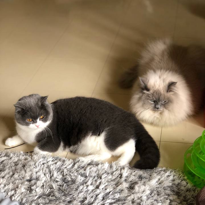 E02557b1 85b1 4a15 b5b5 81556d754284 1546767887082