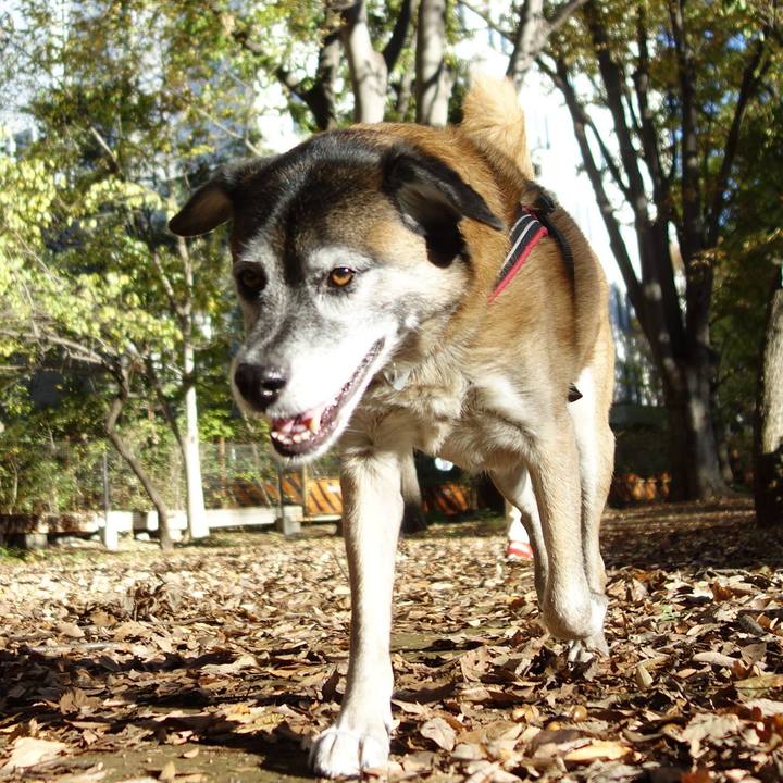 E0256999 9fb3 47b8 98e5 5c9b17f7e5b9 1542936108593