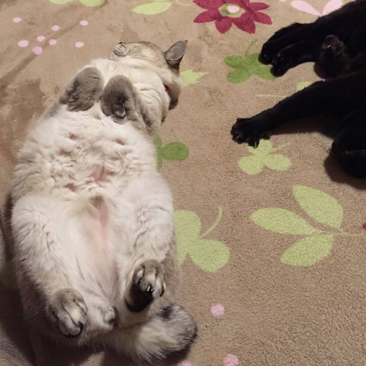 E02583a0 6be8 4b73 ae0e fa7c59c845a9 1548597704154