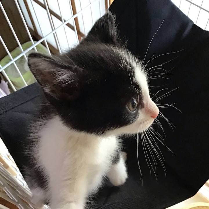 E025a034 d3bd 4617 922e 2fb32a2a8885 1623209565647