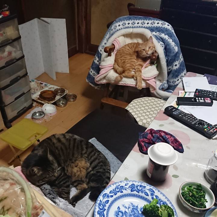 E025b5fb c755 4c7b 8f13 0c421960c02f 1644488229779