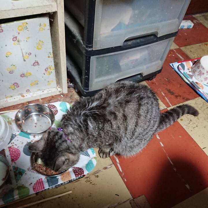 E025d283 060d 4caa 9378 1ae840fe574d 1589573978920