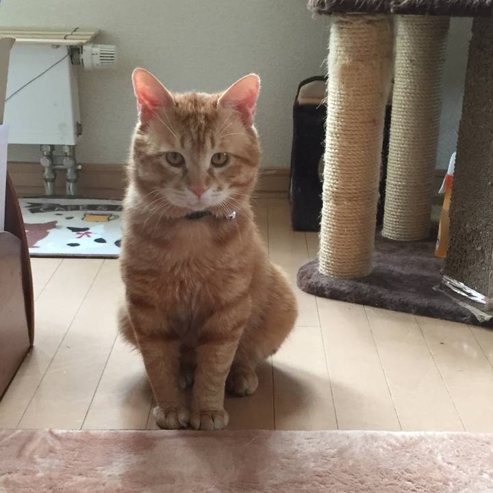 E0262718 64ca 4a47 ac00 cf72a82fa233 1523177592060