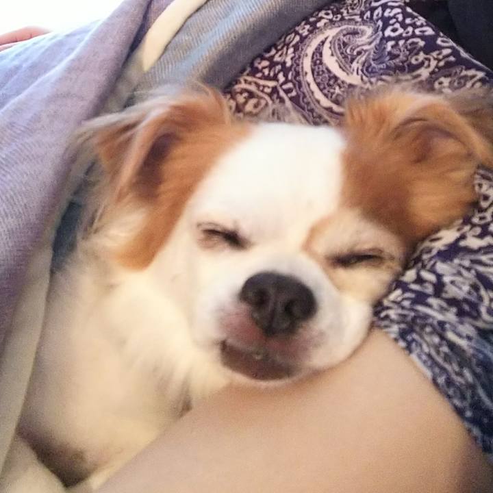 E0262d75 92b7 44fd 94c0 61e04ffea06a 1532218409543