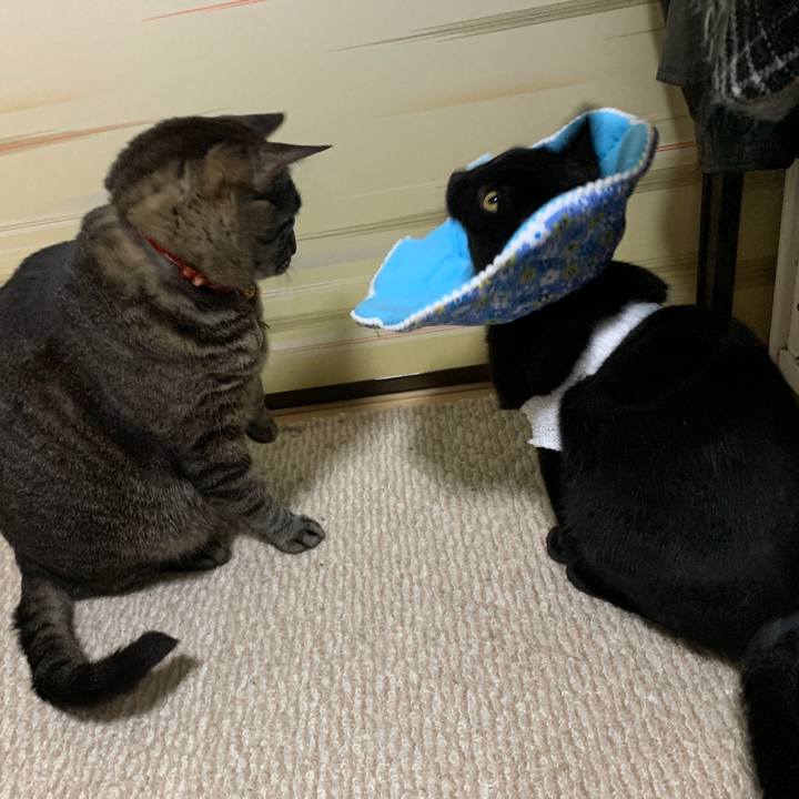 E0262dbe 3226 49cc a73a 78173dd0f42b 1573872869042