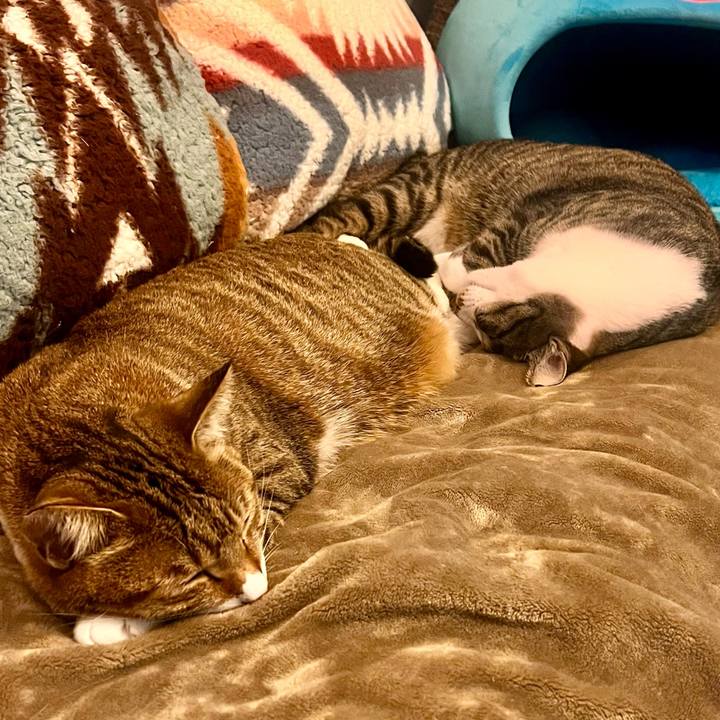 E02630a3 f23f 4e6e 98a8 99e5a5767f2c 1765376417647