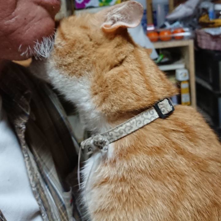 E026641e 2119 4b9d 91af 4bccc094362d 1590958014499