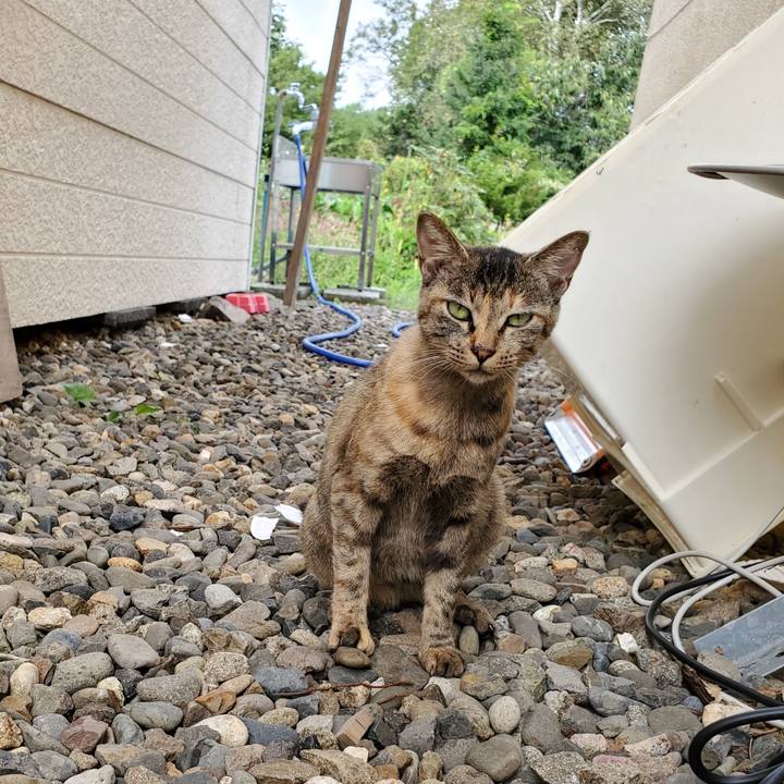 E02685d7 a7d2 4ba7 b46e 42f15f67aead 1695736382109