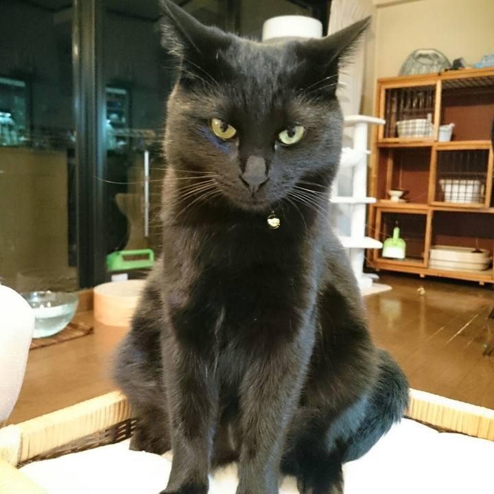 E0268ec2 ca5c 4962 b033 2aa3fdd58359 1524055218340