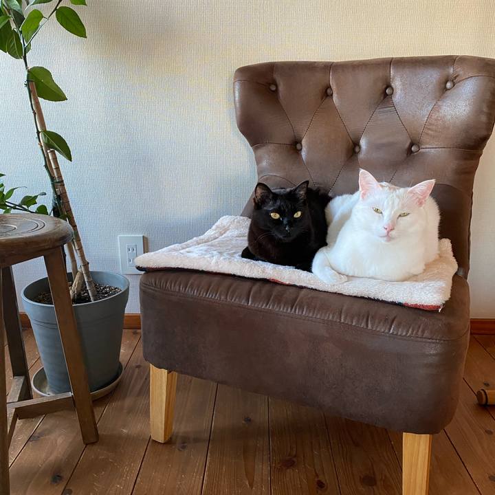 E02697a5 60c5 4aae 998b 28d9e1ace83e 1589363201185