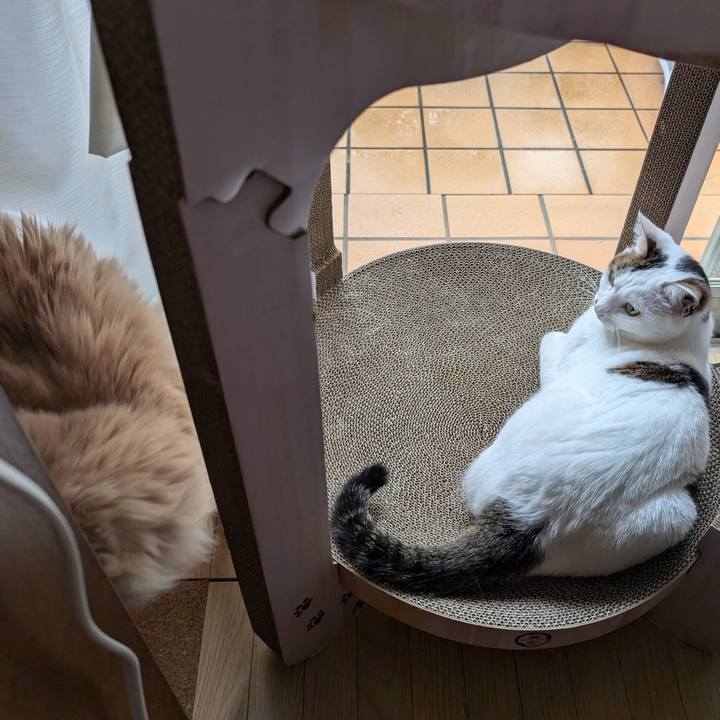 E026b21d cc1e 4855 a400 67e6536dfcce 1726450817536