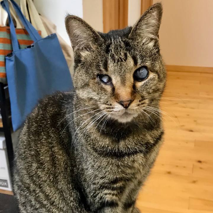 E026f768 b956 4299 9ab7 3d5d1d8e56fa 1610631433518