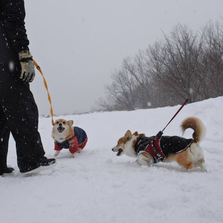 E0270aed a4e5 4258 b701 54064c3c0e42 1644136345441