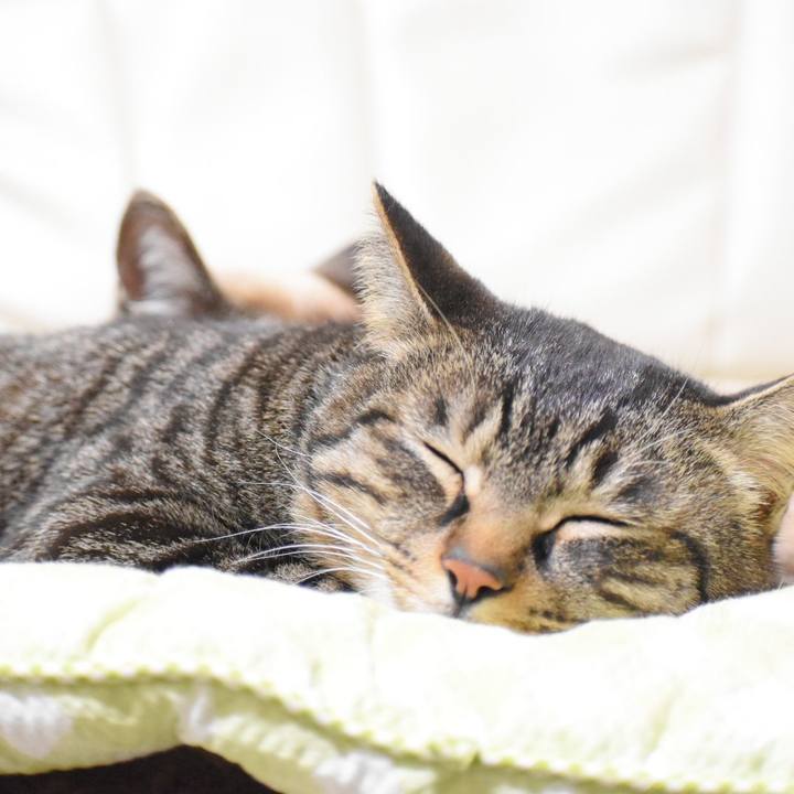 E0270eb1 74a5 4175 b7bd cb4c251a6196 1518160672059