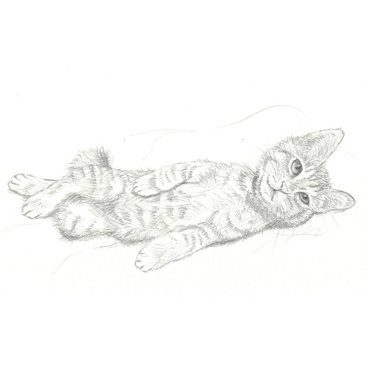 E02713db 1bac 45a9 9dd0 01e53ccbb81e 1536060307772