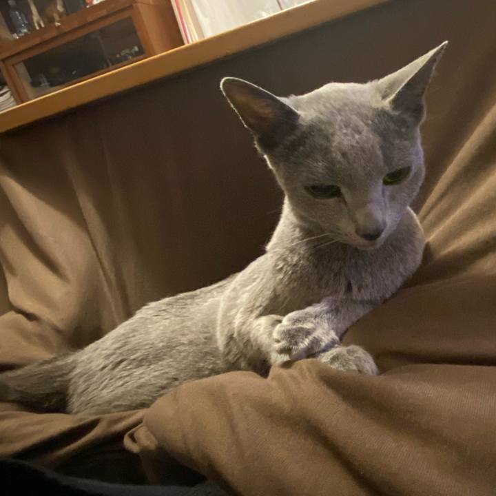 E0272247 6a88 4675 baa5 5c7763e789cf 1581429897083