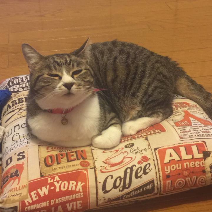 E0273d79 c7cb 4c2e 94ec 7a386e1b0e6a 1561814561086