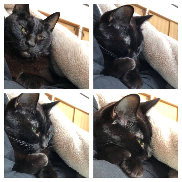 E027502d 1b9e 49bc 883e 76f048d59d5f 1736745124590