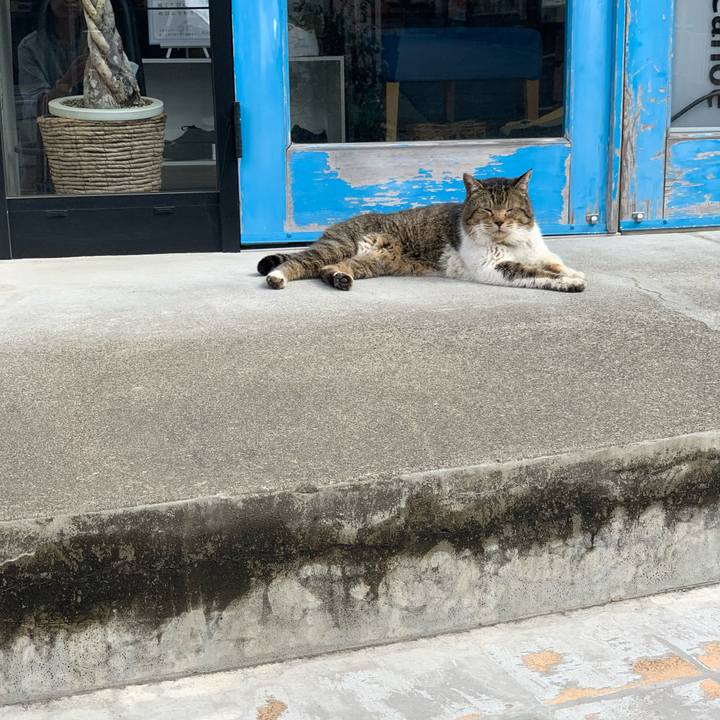 E0275c78 a7ff 4dd9 ae48 dc7c9bae3b25 1774651225240