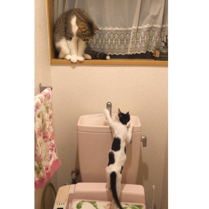 E0276db3 8236 4020 9910 543496f86d23 1532286392973