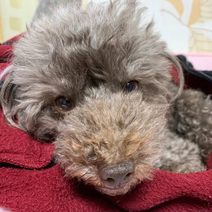 E02792a7 fc30 4d27 b505 f603adf0676f 1571172425781