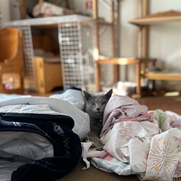 E0279708 0edf 464e b9fd 5d6b5265702f 1640905915453