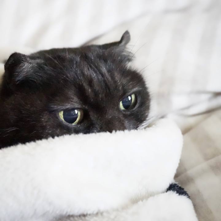 E027bbf1 db9f 4f1c 8803 57916c8ea3b2 1577981408261