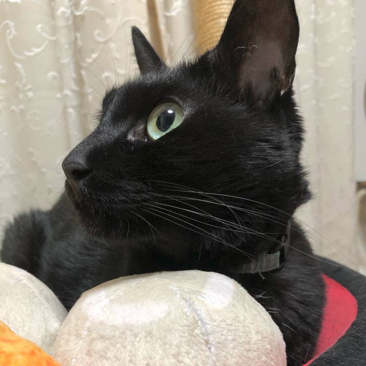 E027d6b1 c2f8 4250 a5f0 f3dd07bfabd6 1632582326952