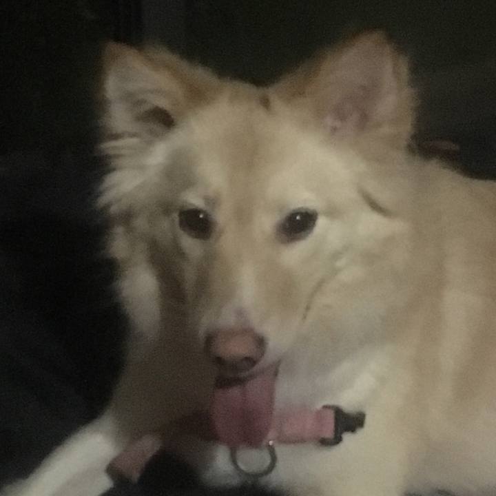 E028253b 921c 4b15 885e e3a375c4af97 1527772111056