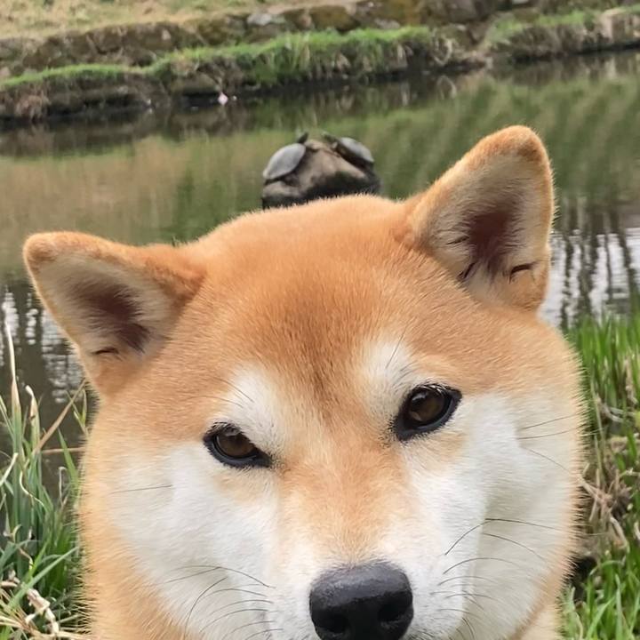 E0289012 4366 4169 90d3 b751d0438aa2 1679185102550