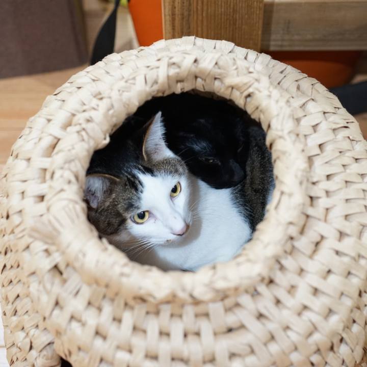 E028a98b 2421 4803 9a2d bfb1eaba8206 1562628375164