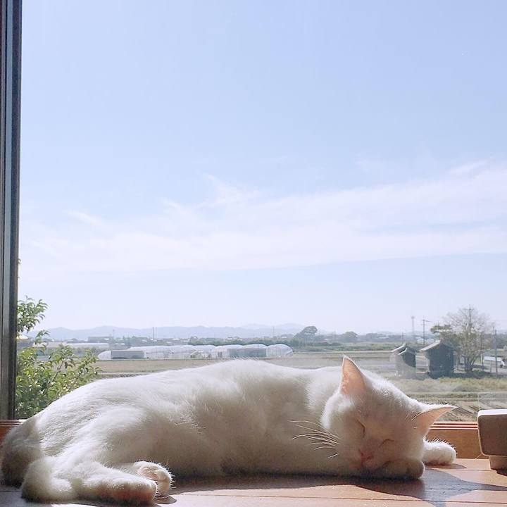 E028ac92 3f19 4417 b026 0b60cf78be66 1542158327531