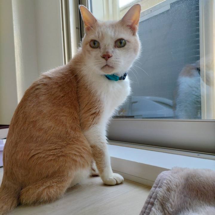 E028b15c 8ff2 45a3 822a 67d31d84cfe5 1681942969273