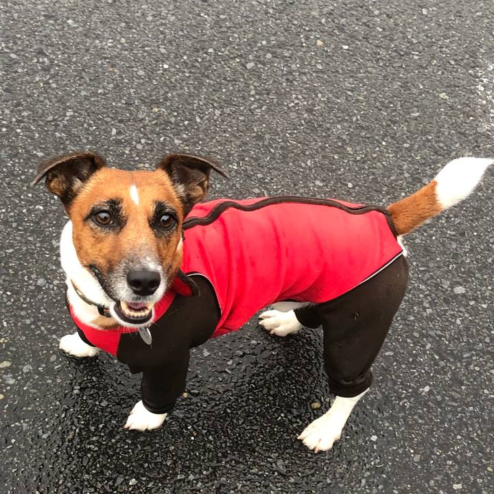 E028b9e4 4217 44f2 85c2 6ddd0a889b9e 1534029107450