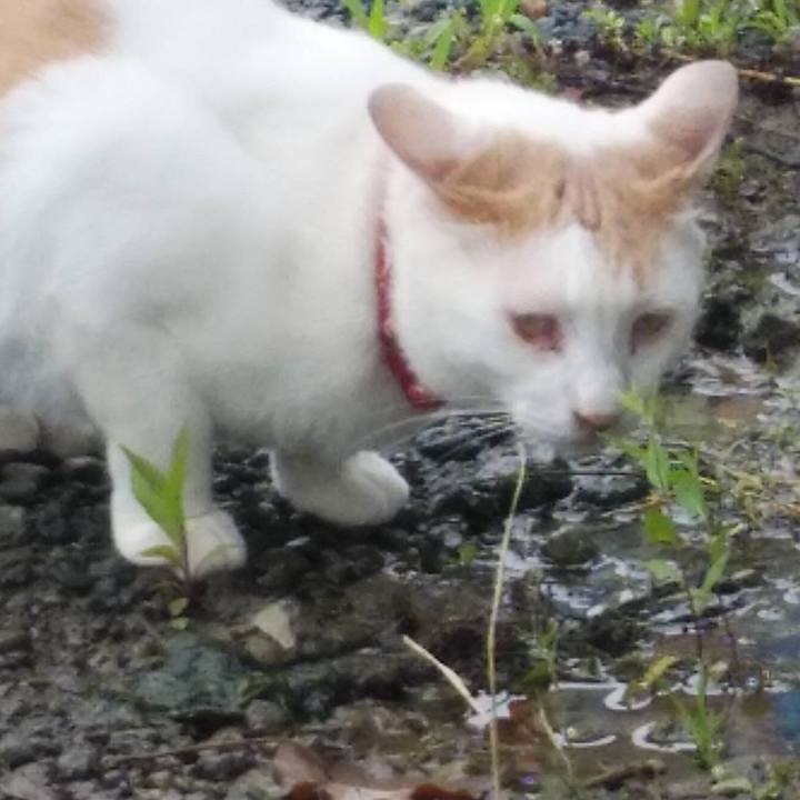 E028dc10 cf00 4b4a 8656 7e993cb17ea5 1593129698190