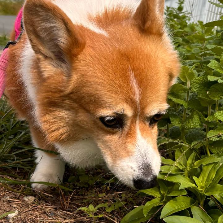 E0290a5e 8bb0 42d4 b21b 9b3cce739b0f 1729048032154