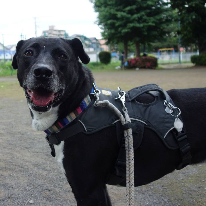 E02932d4 e247 4394 98be 50bfc64c7fca 1653525782899