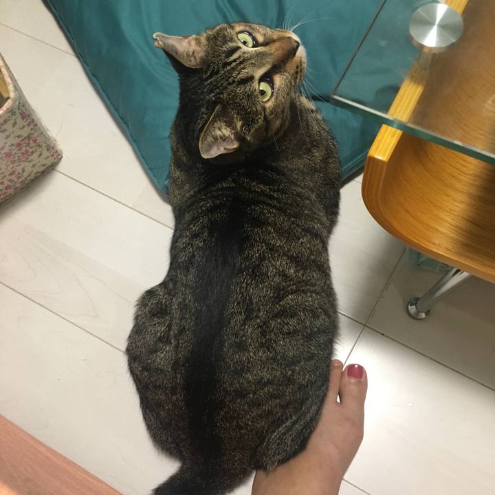 E029848d 4794 4b3a 88b9 349bd24bc993 1566453819810