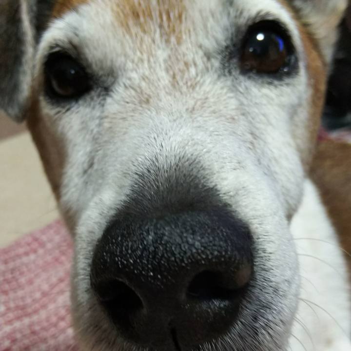 E02a17f3 68c0 4d19 a228 4874afb4d939 1523546049731