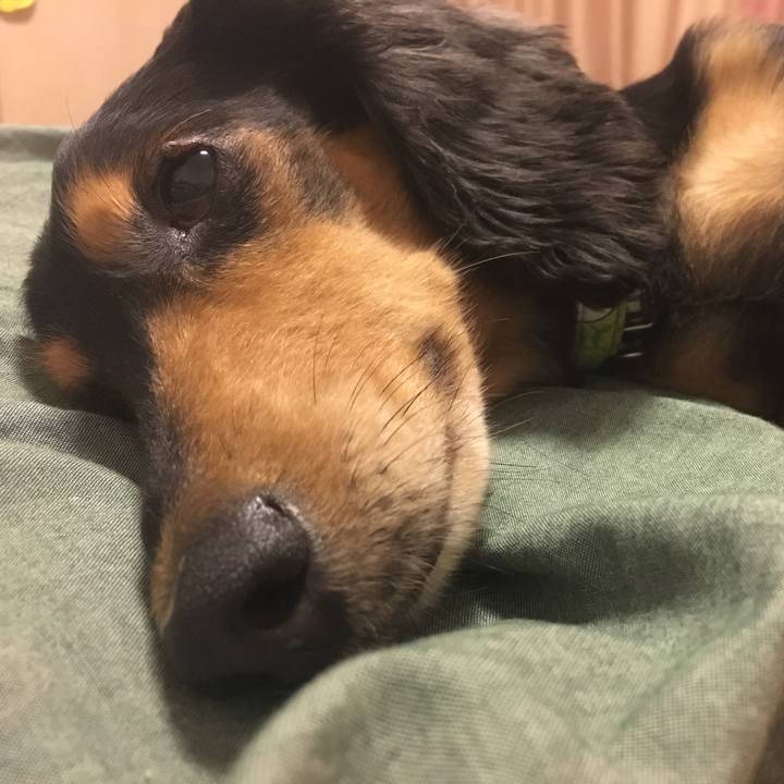 E02a2968 8506 4a8c a018 74b2dbe717d9 1507989400973