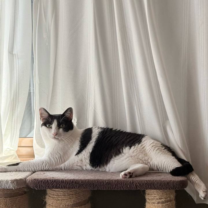 E02a2d11 37ca 4de2 b9b0 8e7e16e957bd 1759889444569