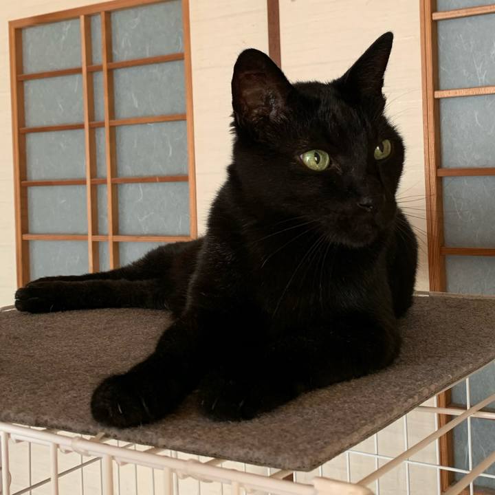 E02a37a5 79eb 487c a29f f77c551bc580 1597624563085